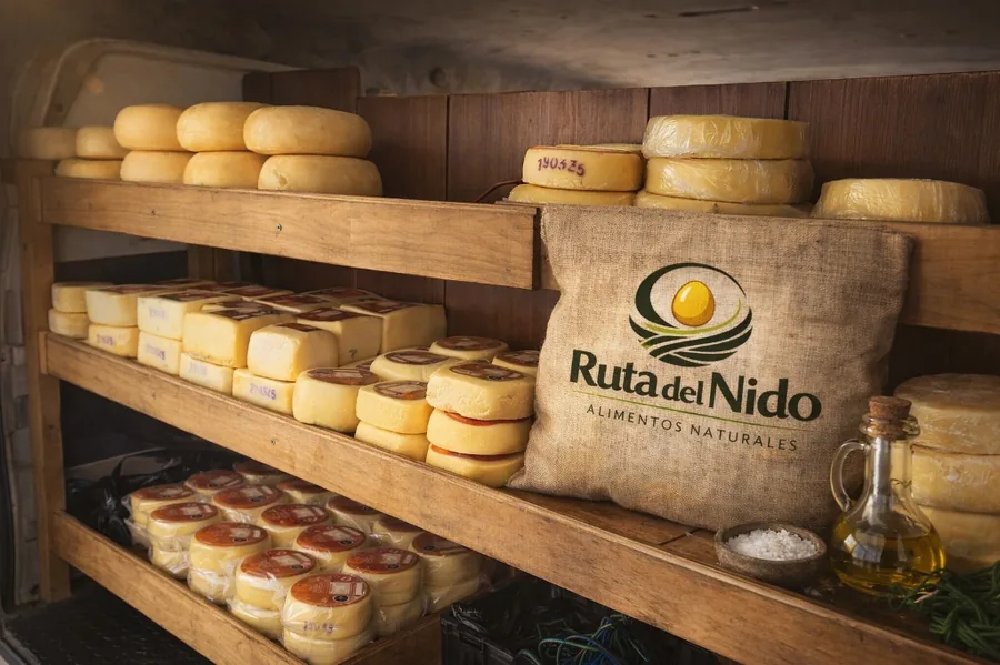 Queso Chanco de Lican Ray